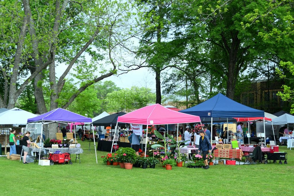 Small town farmers market event, dozens of people gathering