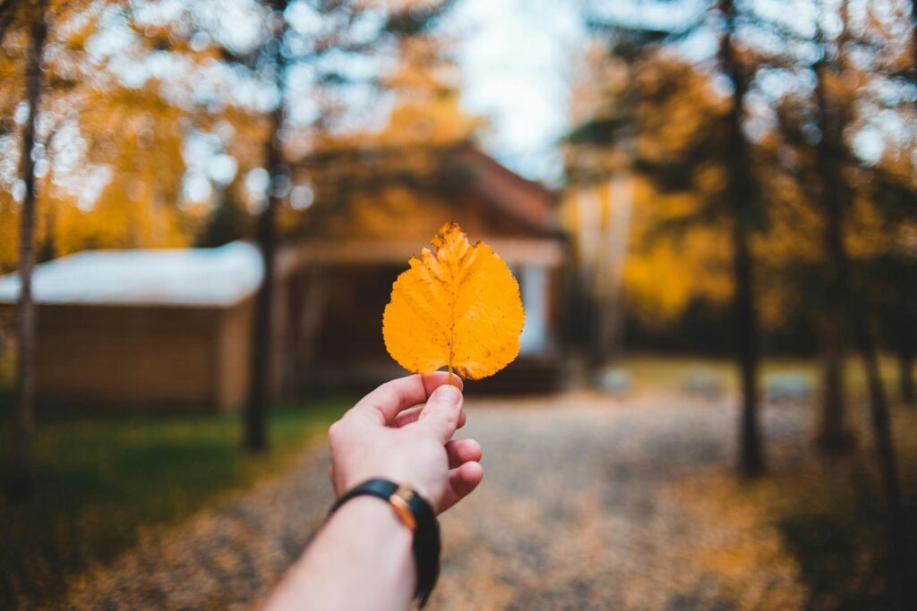 Woman holding a leaf, in autumn