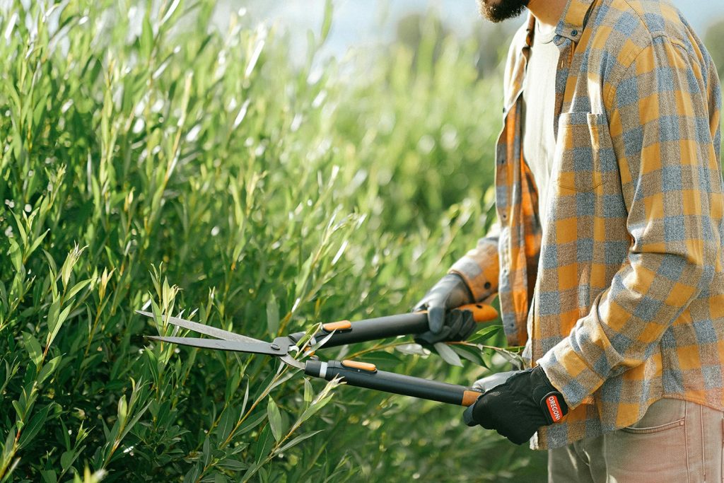 A man cutting tall grass with a trimming tool